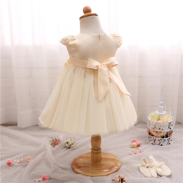 Costume Princess Lace Party Dress (3 - 24 Months)