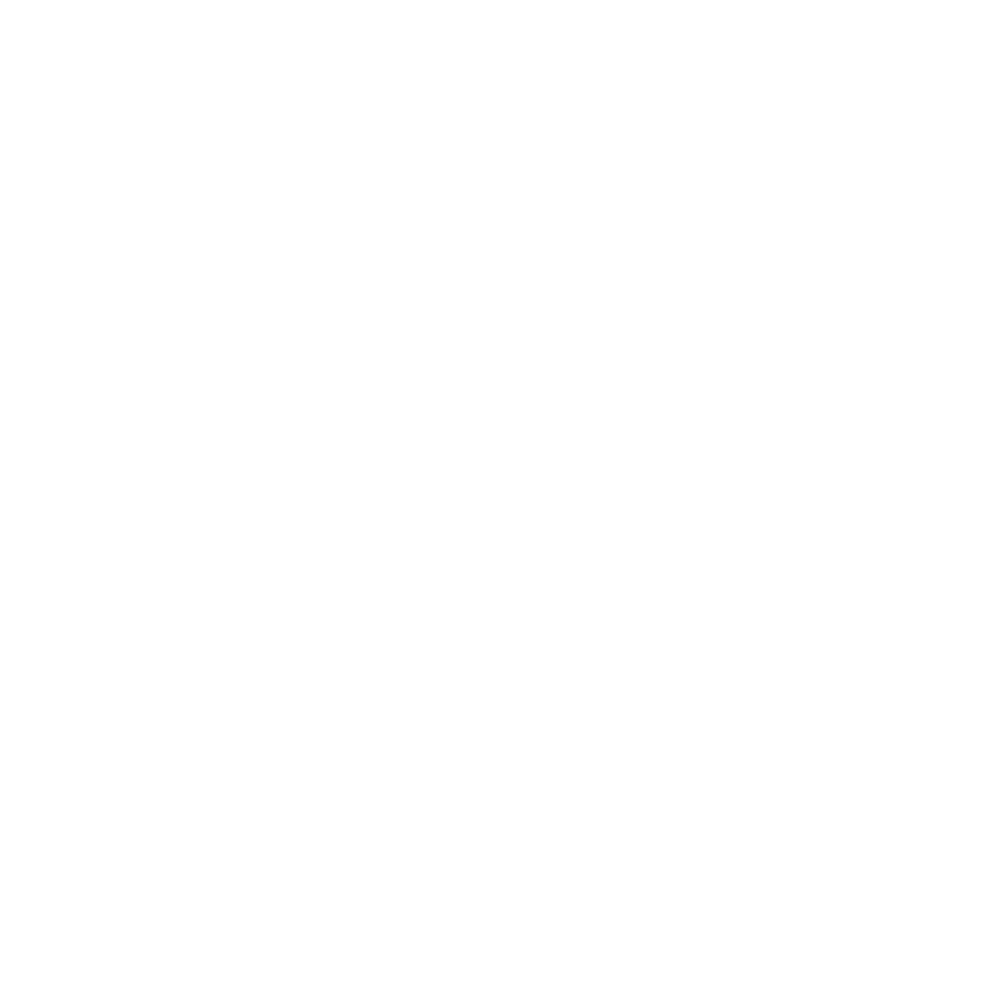 SAFE & SECURE <br>CHECKOUT