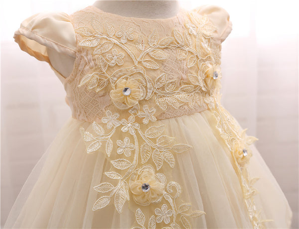 Costume Princess Lace Party Dress (3 - 24 Months)