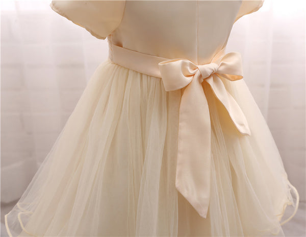 Costume Princess Lace Party Dress (3 - 24 Months)