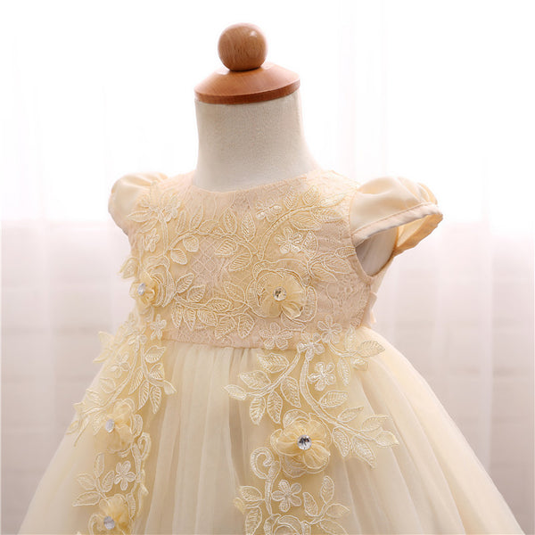 Costume Princess Lace Party Dress (3 - 24 Months)