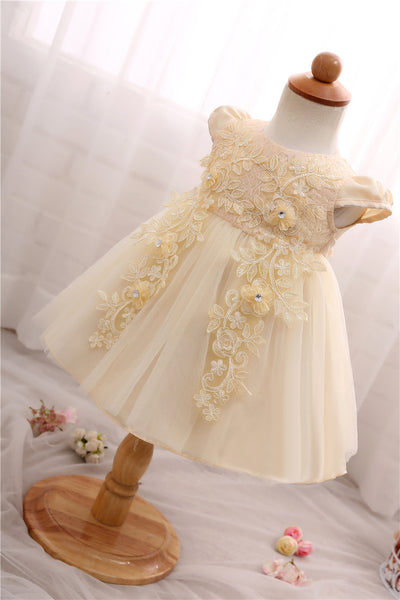 Costume Princess Lace Party Dress (3 - 24 Months)