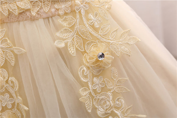 Costume Princess Lace Party Dress (3 - 24 Months)
